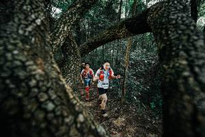 BIB: 
                            <button type="button" onclick="openModal(25392366)" class="btn btn-primary btn-sm float-right btn-popup" data-toggle="modal" data-target=".modal-high-quality">
                        <i class="fas fa-shopping-cart"></i> Add to Cart
                    </button>
                                            <button type="button" onclick="isThisMe(25392366, true)" class="btn btn-success btn-sm float-right btn-popup btn-isme hidden" data-toggle="tooltip" data-placement="bottom" title="นี่คือรูปของคุณใช่ไหม คลิกที่นี่เพื่อเอาเข้าอัลบั้ม">
                        <i class="fas fa-plus"></i> Add to album
                    </button>
                    <button type="button" onclick="isThisMe(25392366, false)" class="btn btn-warning btn-sm float-right btn-popup btn-isnotme hidden">
                        <i class="fas fa-ban"></i> Remove from album
                    </button>